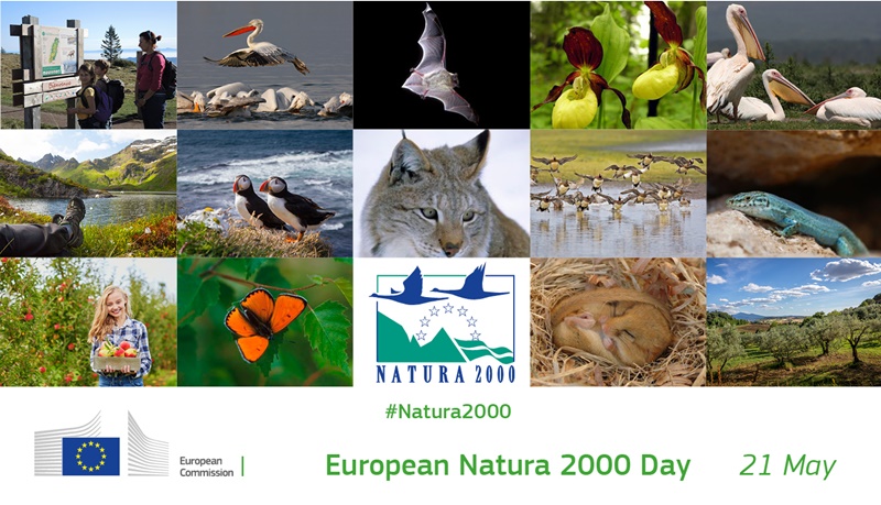 Στο φως το νέο μονοπάτι Μηναγιώτικο Natura 2000 6