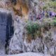 Ε.Ο.Σ. Καλαμάτας: Πεζοπορία στο φαράγγι του Νέδοντα (Κυριακή 6/6/2021) 41