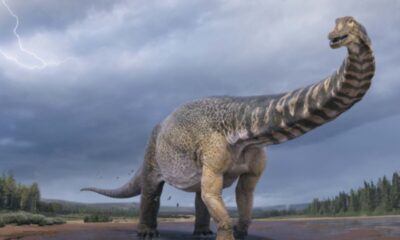 Ανακαλύφθηκε δεινόσαυρος που είχε μήκος όσο ένα γήπεδο μπάσκετ και ύψος δύο ορόφων 4