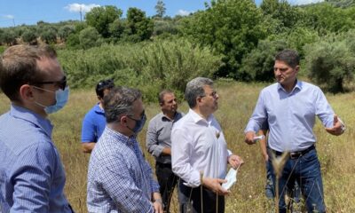 Κατασκευή Λιμνοδεξαμενής στο Τρίκορφο Μεσσηνίας 4