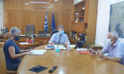 Σύσκεψη για τη διαχείριση νεκρών ζώων της Περιφέρειας Πελοποννήσου 1