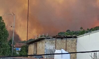 Μεγάλη φωτιά στην Αχαΐα: Kλειστή η Εθνική - Κάηκαν σπίτια, εκκενώθηκαν χωριά - Απομακρύνθηκαν παιδιά από κατασκήνωση 4