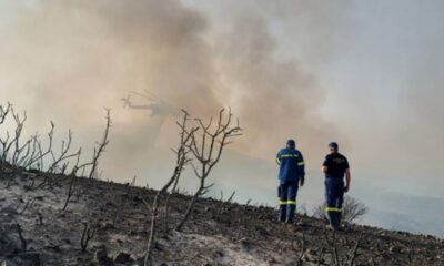 Μεσσηνία: Πυρκαγιά σε εξέλιξη ανάμεσα σε Βασιλίτσι – Χρυσοκελλαριά 46