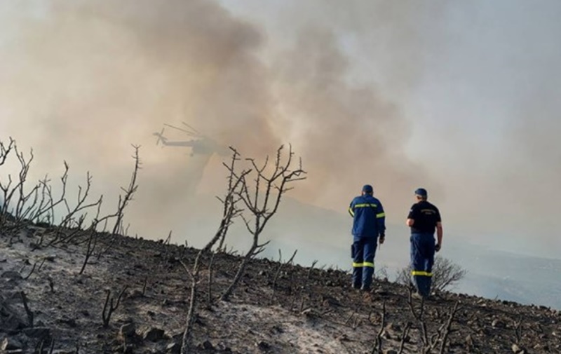 Μεσσηνία: Πυρκαγιά σε εξέλιξη ανάμεσα σε Βασιλίτσι – Χρυσοκελλαριά 5