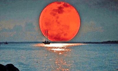 Απόψε Πανσέληνος του Ιουλίου το «Φεγγάρι του Ελαφιού», από πού πήρε το όνομά της 12