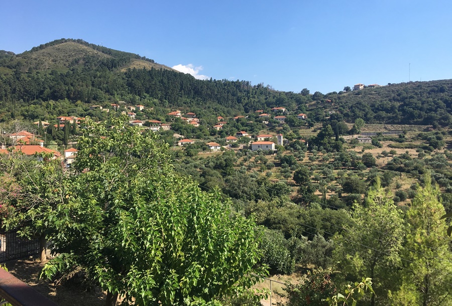 Το χωριό της Πελοποννήσου με τα περισσότερα αιωνόβια δέντρα της Ελληνικής Επανάστασης 5