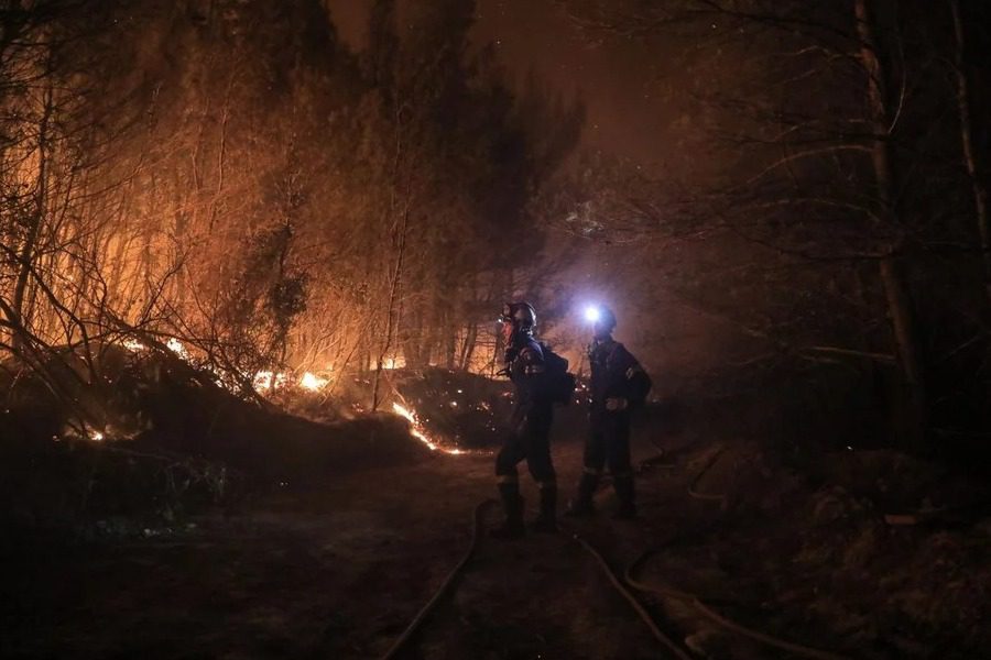 Αγροτοκτηνοτροφικός Σύλλογος Μεσσήνης στηρίζει τους πυρόπληκτους 1