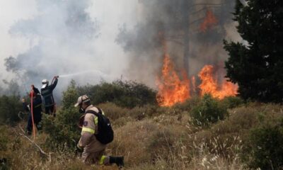 Ευχαριστήριο της Δημάρχου Οιχαλίας για την βοήθεια στις περιοχές που επλήγησαν από τις πυρκαγιές 14