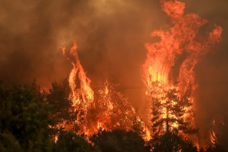 ολοκληρώθηκαν οι αυτοψίες στη μεσσηνία: αναλυτικά οι ζημίες που προκλήθηκαν από τις πυρκαγιές 1