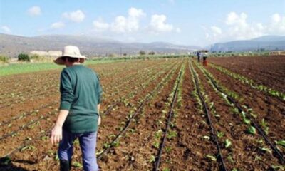 Π. Μαντάς: η κυβέρνηση δρομολογεί επιπλέον μέτρα 180 εκ. ευρώ αποκλειστικά για τους αγρότες 32