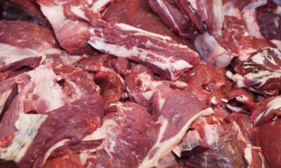 διανομή κρέατος για τις γιορτές σε 541 άπορες οικογένειες από τον δήμο καλαμάτας 56
