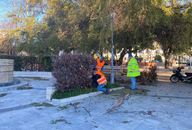 Κλαδέματα και καθαρισμός στην πλατεία Φραγκόλιμνας 4