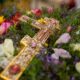 κυριακή της σταυροπροσκυνήσεως και χειροτονία διακόνου στην ιερά μητρόπολη μεσσηνίας 55