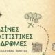 Η Εφορεία Αρχαιοτήτων Μεσσηνίας στις «Πράσινες Πολιτιστικές Διαδρομές» 2