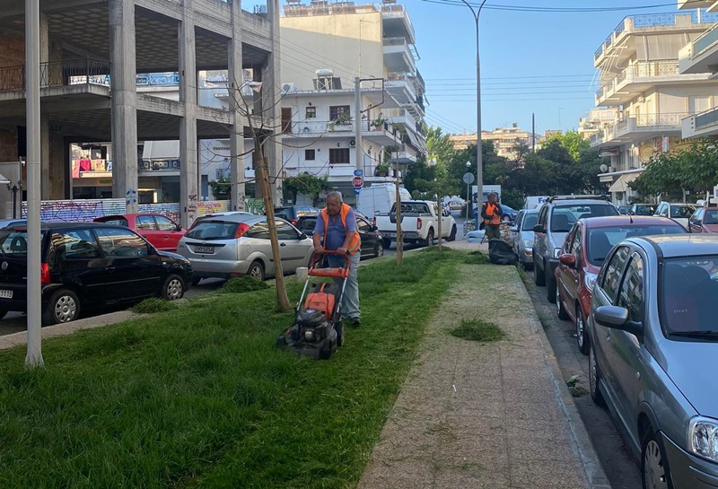 Καθημερινές παρεμβάσεις βελτίωσης του Πρασίνου, σε γειτονιές και κεντρικά σημεία 8