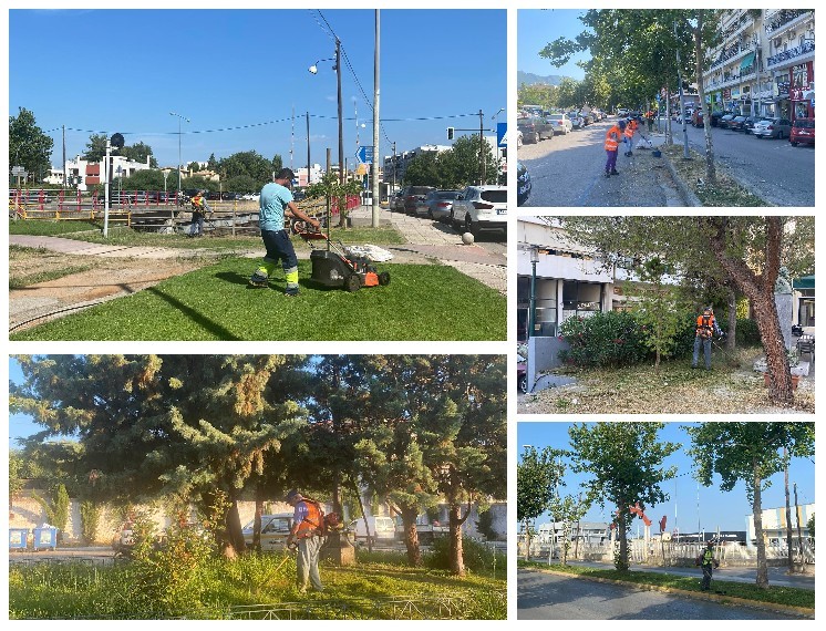 Καθημερινές παρεμβάσεις βελτίωσης του Πρασίνου, σε γειτονιές και κεντρικά σημεία 10