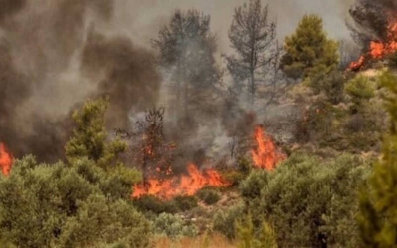 Συναγερμός στην Πυροσβεστική- Φωτιά στη Νταού Πεντέλης 3