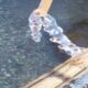  Οι σαλιάρες: Με αυτό το περίεργο θαλάσσιο ον ασχολούνται οι λουόμενοι στην Πάτρα 55