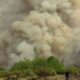 μαίνεται η μεγάλη πυρκαγιά στα άγναντα στην ηλεία - απομακρύνονται κάτοικοι από το χωριό 22