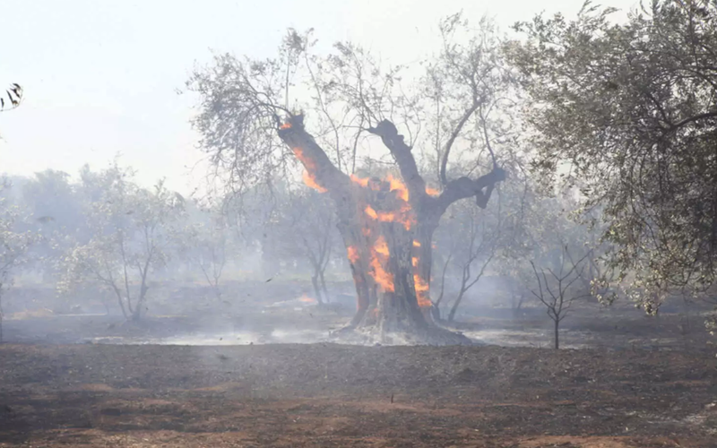 Ενεργοποιήθηκε η υπηρεσία Copernicus για τις πυρκαγιές σε Αχαΐα και Ιτέα 1