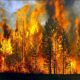 ΟΚΕ: Για επανάληψη των περσινών πυρκαγιών προειδοποιεί ο Γεν. Δ/ντής Δασών 22