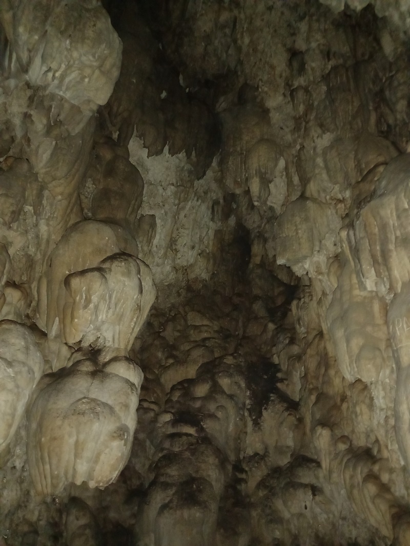 Ανακαλύφθηκε εντυπωσιακό σπήλαιο με σταλακτίτες στη Νότια Μεσσηνία 19