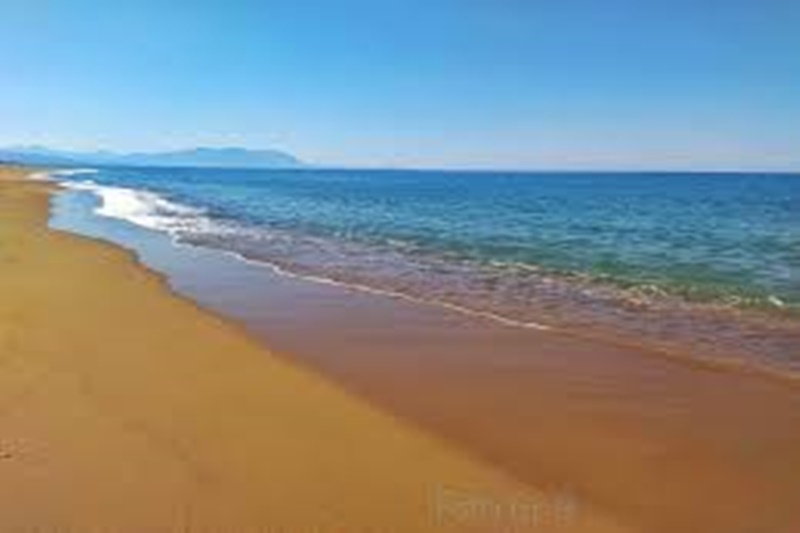 Καρχαρίας προκαλεί δέος στη Ζαχάρω: Για «αλεπού» κάνουν λόγο οι γνώστες 3