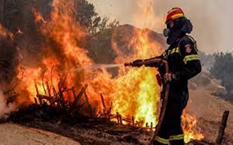 Λέσβος: Συνελήφθει 10χρονος για εμπρησμούς, έβαζε φωτιές για να βλέπει τους πυροσβέστες να τις σβήνουν 1