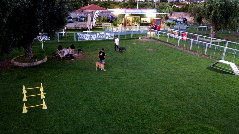 Dog Fun Park: Το hotpot των φιλόζωων 10