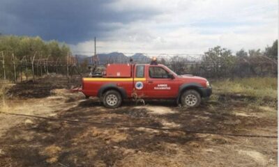 Παρόν και ο Δήμος Καλαμάτας στην κατάσβεση πυρκαγιάς στην Άνθεια 60