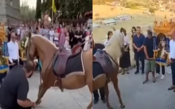 Οργή στο διαδίκτυο : Άλογα «προσκυνούν» εικόνες σε πανηγύρι στον Τύρναβο