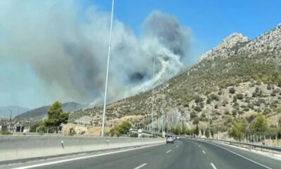 Φωτιά λίγο μετά τα διόδια της Ελευσίνας 48