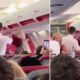 Επεισοδιακή πτήση για Ρόδο: Γυναίκα ούρησε στο κάθισμα, έριξε χαστούκια και πήγε ν` ανοίξει την πόρτα 23