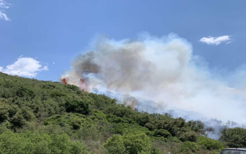 Φωτιά στη Μεσσηνία: Δύσκολη η μάχη με τις φλόγες, εντολή εκκένωσης στο Μεσοχώρι 1