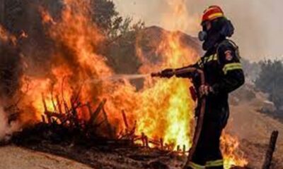 λέσβος: συνελήφθει 10χρονος για εμπρησμούς, έβαζε φωτιές για να βλέπει τους πυροσβέστες να τις σβήνουν 14