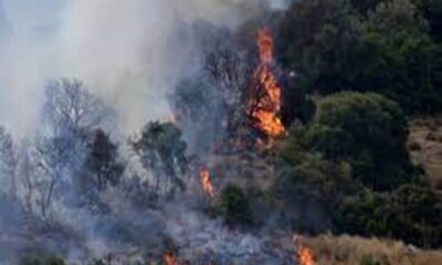 Πυρκαγιά στη Ζάκυνθο: Μήνυμα του 112 για εκκένωση οικισμού 28