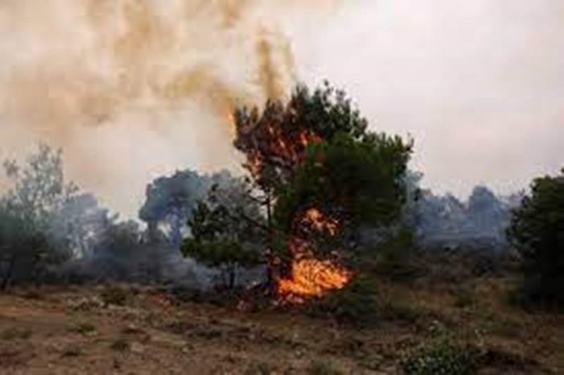  «Ήμουν μεθυσμένος...» είπε στις αρχές ο 25χρονος εμπρηστής του Λασιθίου 1