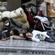 Κακοποίηση ανηλίκου: Έβαζε 6χρονη να ζητιανεύει ακόμα και 12 ώρες τη μέρα 2