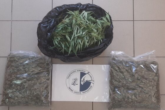 Συνελήφθη ένα άτομο για ναρκωτικά στη Μεσσηνία – Κατασχέθηκαν, πάνω από τέσσερα κιλά κάνναβης
