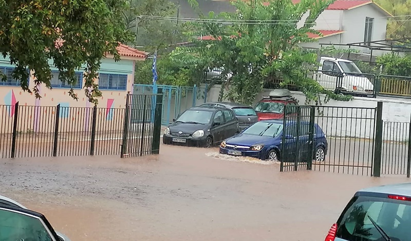 Λιμνοθάλασσα στο 13ο Δημοτικό Σχολείο Καλαμάτας 8