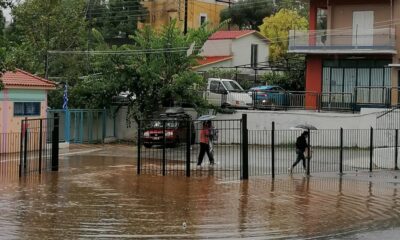 Λιμνοθάλασσα στο 13ο Δημοτικό Σχολείο Καλαμάτας 25