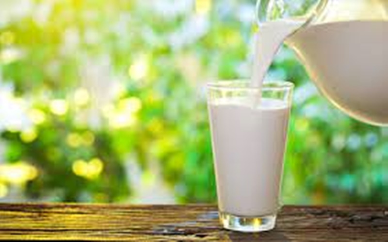Σοβαρές ελλείψεις σε γάλα λόγω ακριβών ζωοτροφών (βίντεο) 1