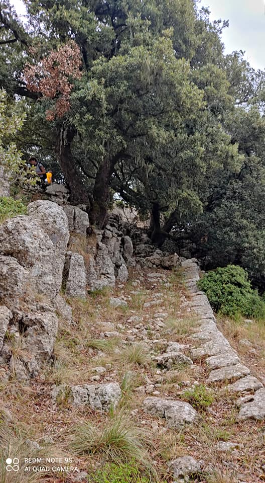 Ευκλής Καλαμάτας: Εξορμεί στο οροπέδιο της Μάλης στην Τριφυλία. 7