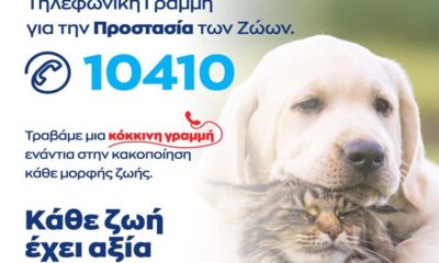 τάκης θεοδωρικάκος: «δίνουμε αξία σε κάθε ζωή - θέτουμε σε εφαρμογή το 10410 για την προστασία των ζώων» 8