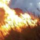 Μεγάλη φωτιά ξέσπασε στο Χιλιομόδι Κορινθίας σε αγροτοδασική έκταση 40