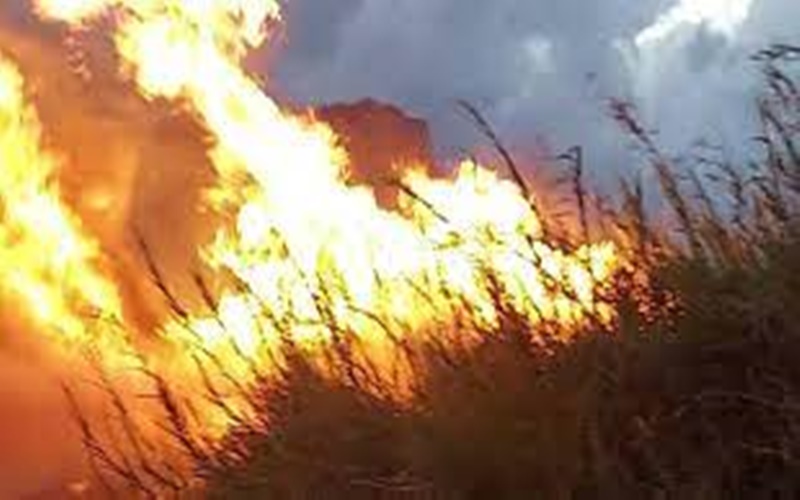μεγάλη φωτιά ξέσπασε στο χιλιομόδι κορινθίας σε αγροτοδασική έκταση 1