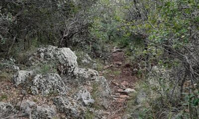 Ευκλής Καλαμάτας: Περπατά στο όρος Συρόκα. 1