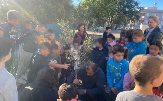Δενδροφυτεύσεις ελιών σε προαύλια σχολείων της Καλαμάτας για την Παγκόσμια Ημέρα Ελιάς & Ελαιολάδου