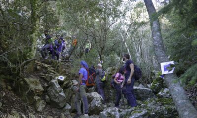 εξόρμηση στην πάρνηθα για τον ορειβατικό σύλλογο καλαμάτας 32