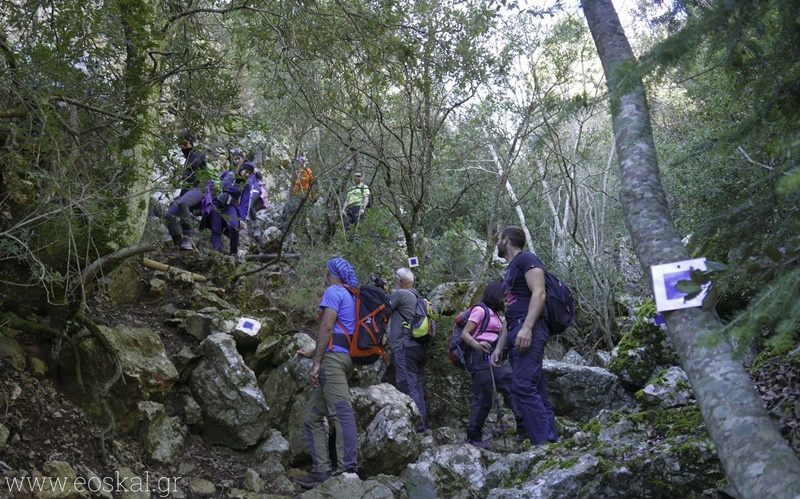 Εξόρμηση στην Πάρνηθα για τον Ορειβατικό Σύλλογο Καλαμάτας 25